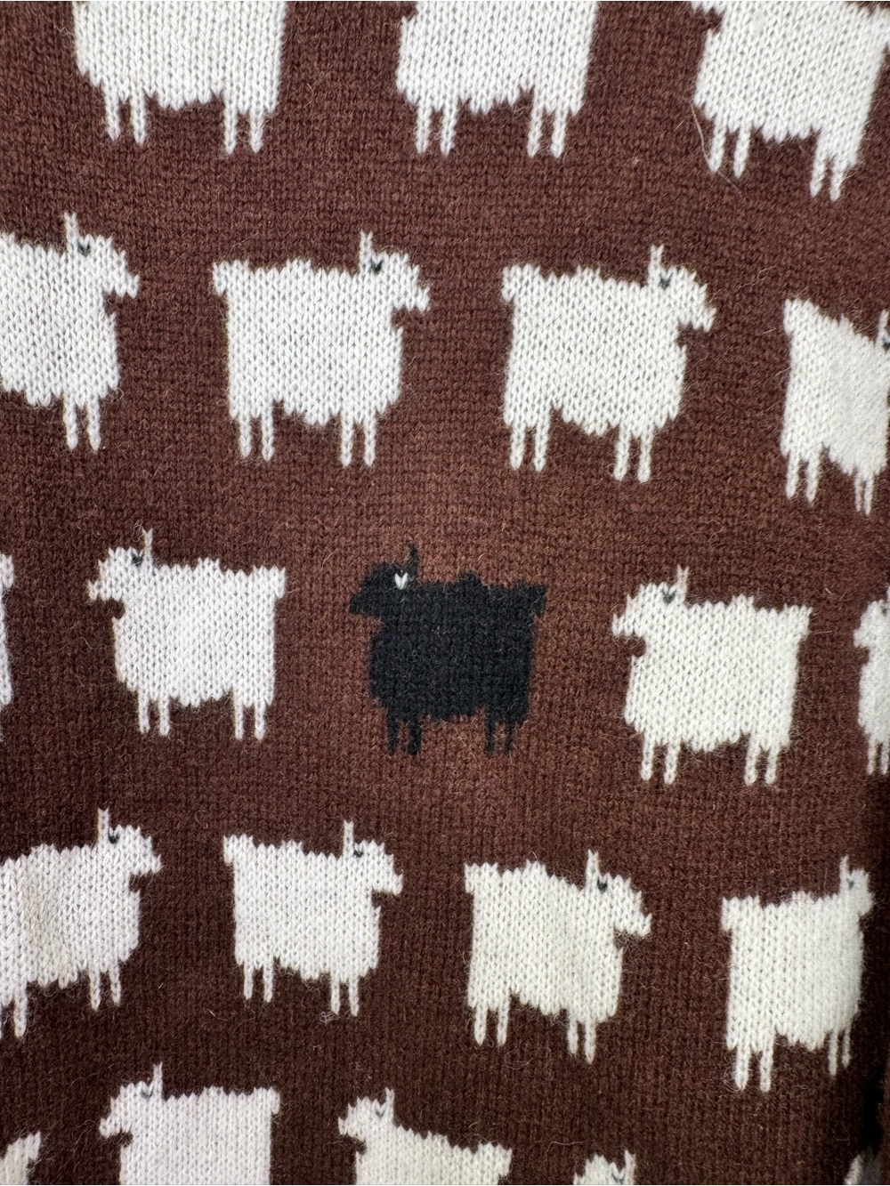 NEW Rowing Blazers Warm and Wonderful Oversized Wool Sheep Sweater Brown Large - Picture 6 of 9